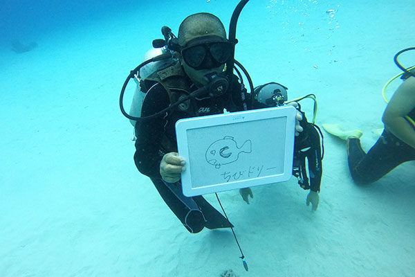 f:id:alterdive:20200719080033j:plain f:id:alterdive:20200719080033j:plain