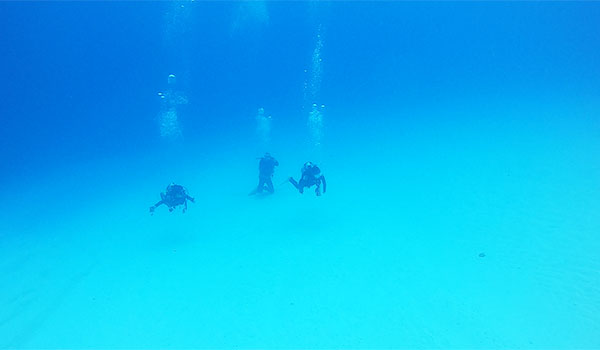 f:id:alterdive:20200719080047j:plain f:id:alterdive:20200719080047j:plain