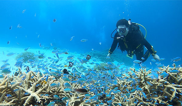 f:id:alterdive:20200807140110j:plain f:id:alterdive:20200807140110j:plain