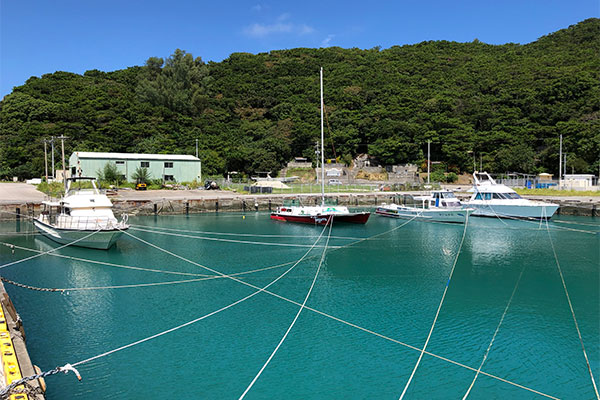 f:id:alterdive:20200830225531j:plain f:id:alterdive:20200830225531j:plain