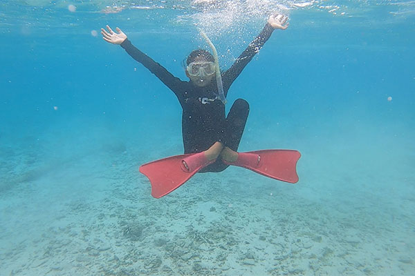 f:id:alterdive:20200831000747j:plain f:id:alterdive:20200831000747j:plain
