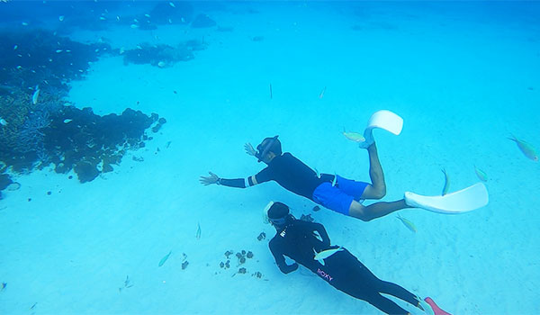 f:id:alterdive:20200831000756j:plain f:id:alterdive:20200831000756j:plain