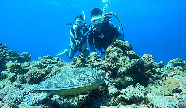 f:id:alterdive:20200913123924j:plain f:id:alterdive:20200913123924j:plain