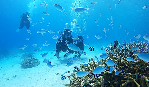 f:id:alterdive:20201016224640j:plain f:id:alterdive:20201016224640j:plain