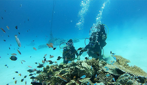 f:id:alterdive:20201016224651j:plain f:id:alterdive:20201016224651j:plain