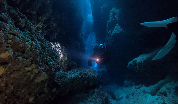 f:id:alterdive:20201114061737j:plain f:id:alterdive:20201114061737j:plain