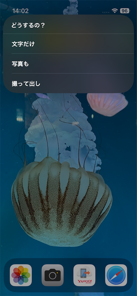 f:id:alternativedestiny:20240915001445p:image f:id:alternativedestiny:20240915001445p:image