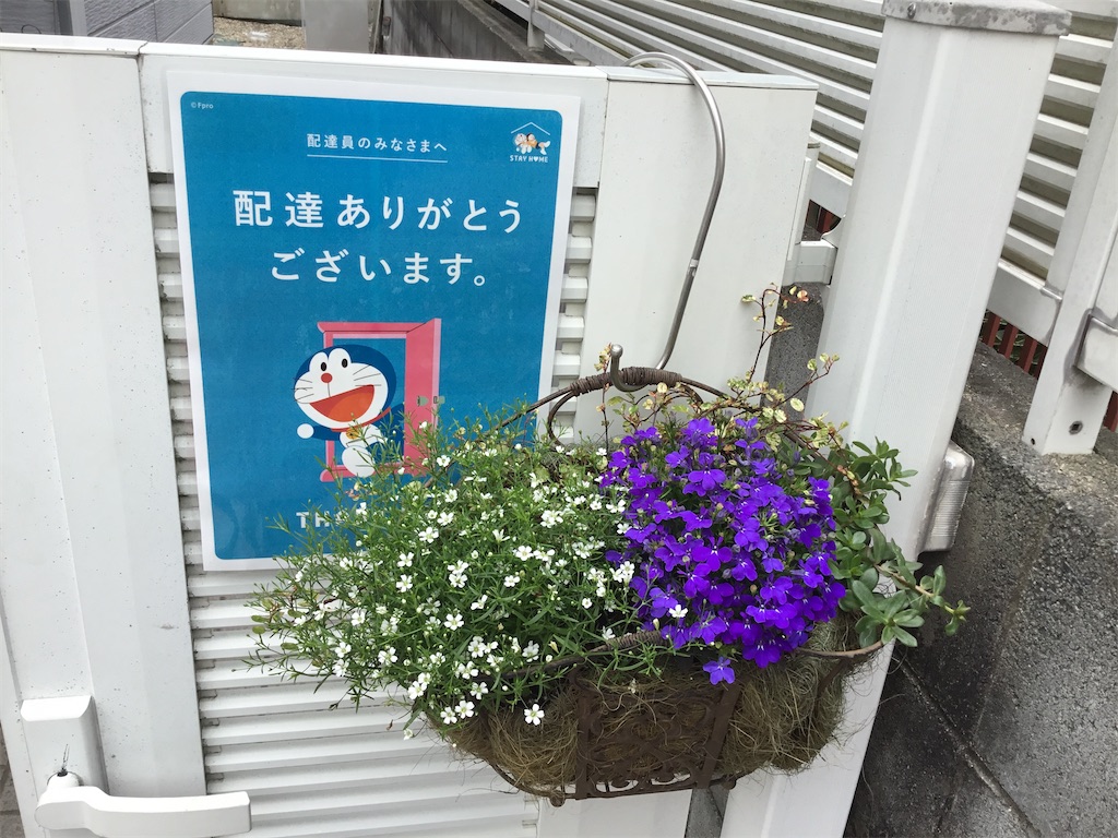 f:id:alternativeschooltomo:20200520094654j:image