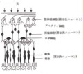 20170115124843