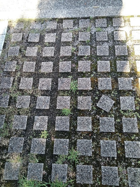 f:id:altgolddesu:20200914153908j:image