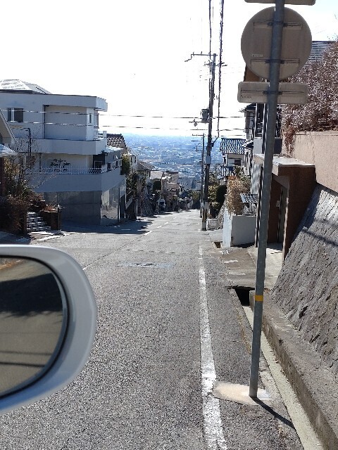 f:id:altgolddesu:20250210104347j:image