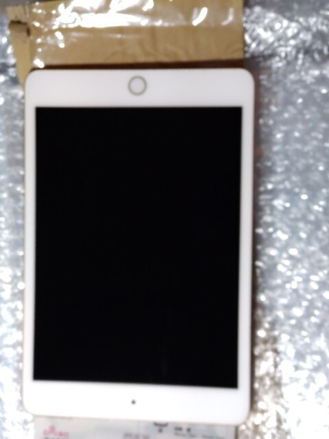 f:id:altgolddesu:20250212200502j:image
