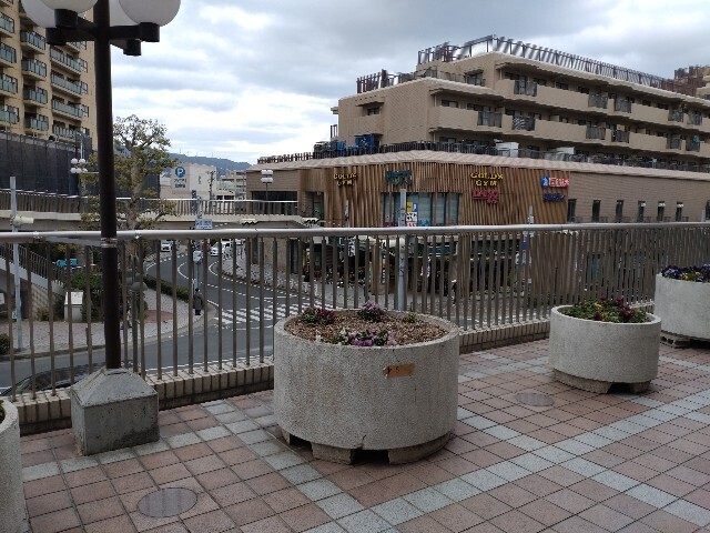 f:id:altgolddesu:20250401142545j:image