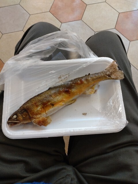f:id:altgolddesu:20250424130248j:image