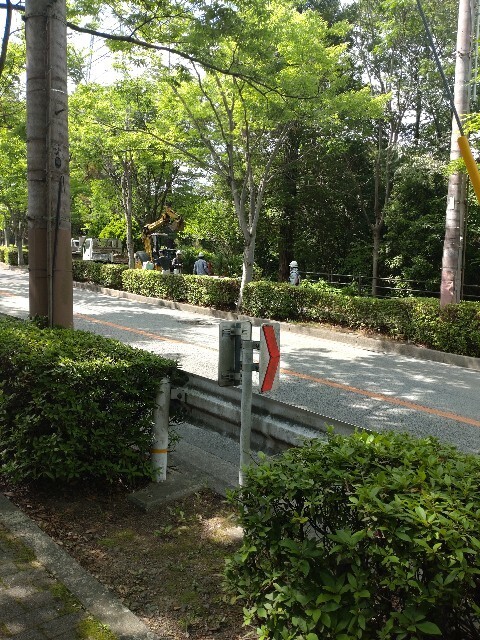 f:id:altgolddesu:20250527143259j:image