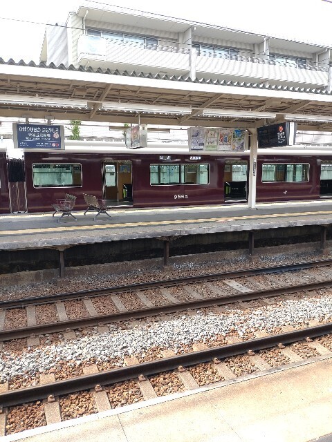 f:id:altgolddesu:20250531152152j:image
