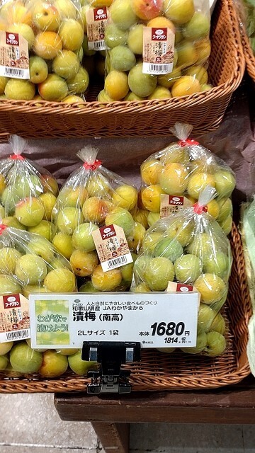 f:id:altgolddesu:20250623183930j:image