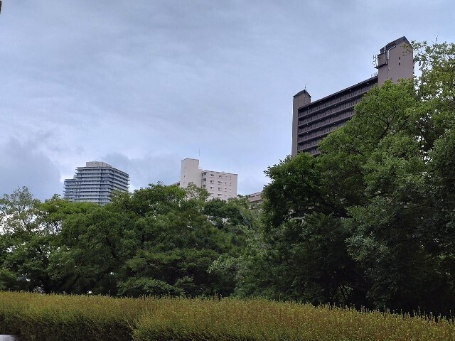 f:id:altgolddesu:20250624140437j:image