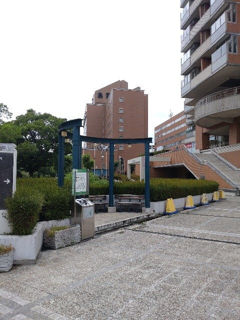 f:id:altgolddesu:20250624140626j:image