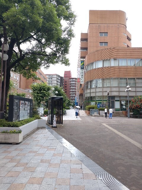 f:id:altgolddesu:20250624141049j:image