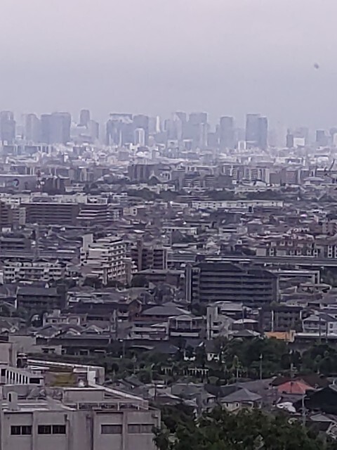 f:id:altgolddesu:20250624153830j:image