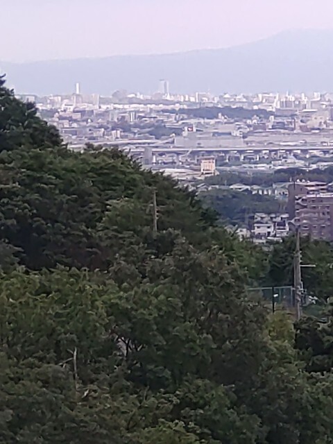 f:id:altgolddesu:20250624153851j:image