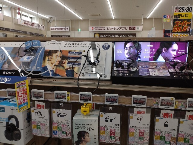 f:id:altgolddesu:20250625111746j:image