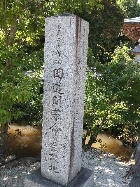 f:id:altgolddesu:20250628140446j:image