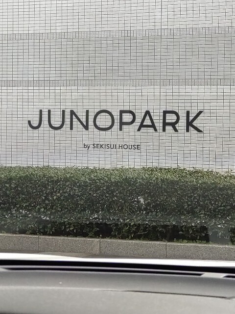 f:id:altgolddesu:20251118121257j:image