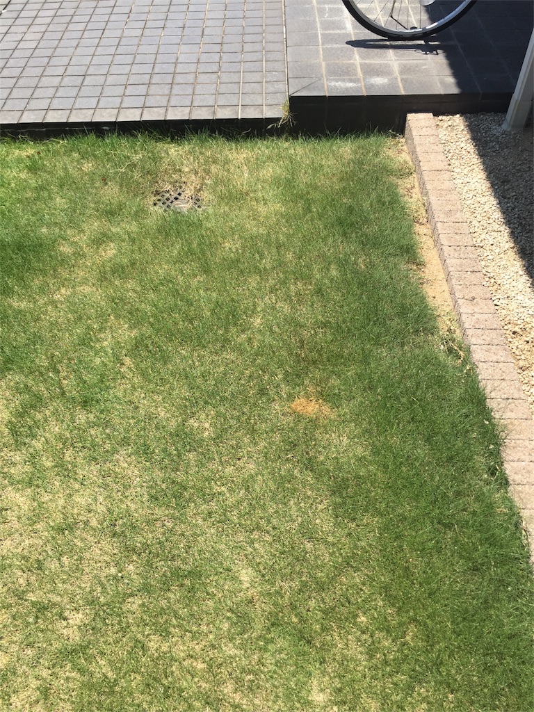 f:id:alto-leo:20180718215240j:image