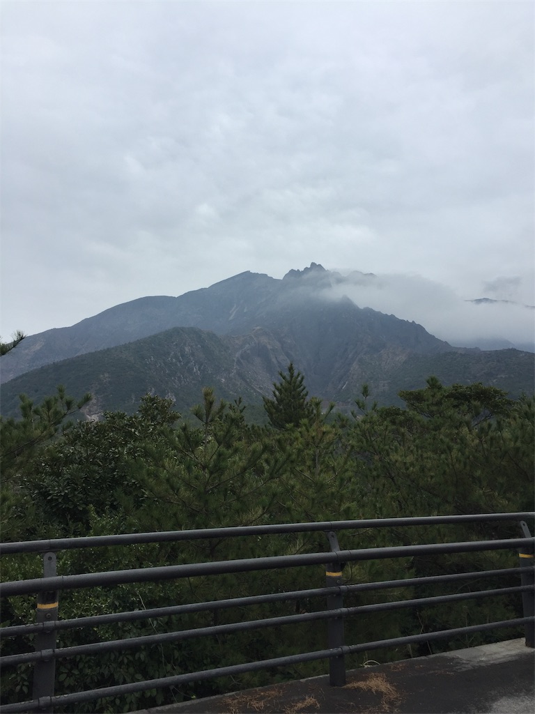 f:id:alto-leo:20190220073711j:image