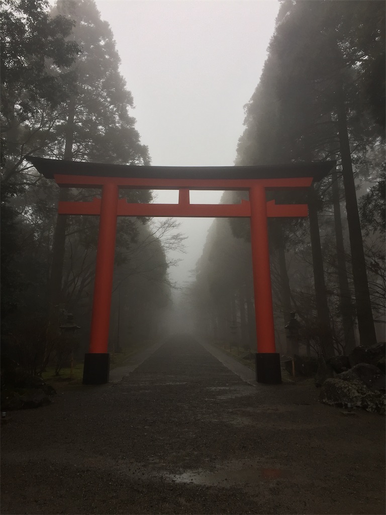 f:id:alto-leo:20190222220830j:image f:id:alto-leo:20190222220830j:image