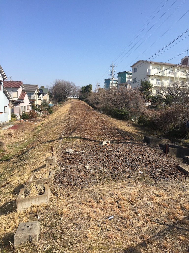 f:id:alto-leo:20190303040904j:image