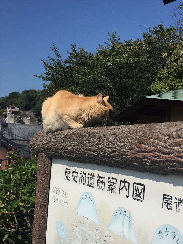 f:id:alto-leo:20190831171956j:image f:id:alto-leo:20190831171956j:image