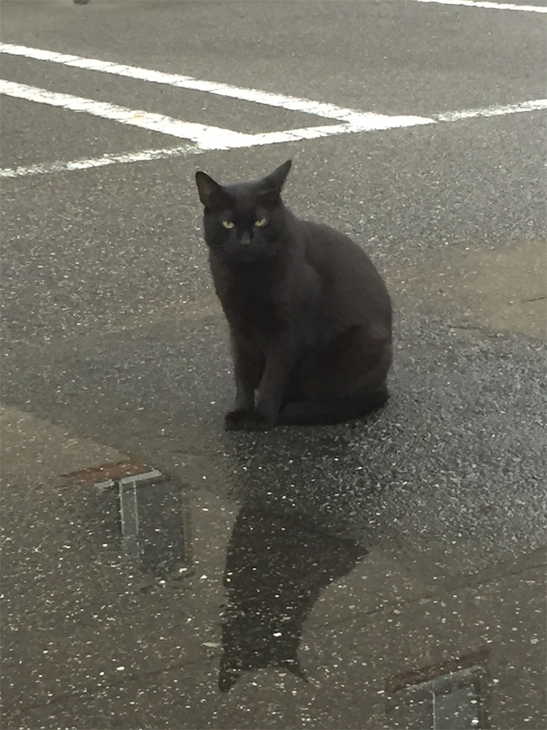 f:id:alto-leo:20190921082415j:image