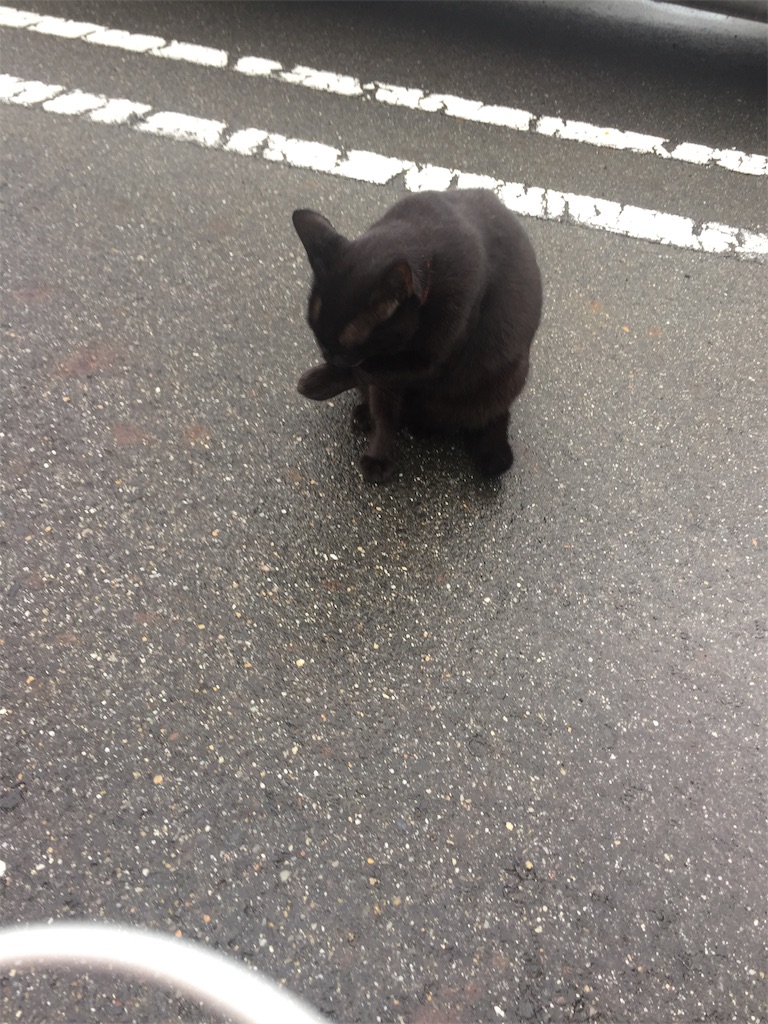 f:id:alto-leo:20190921082423j:image