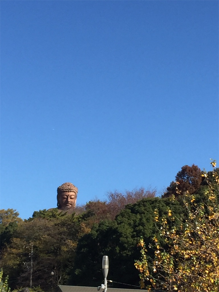 f:id:alto-leo:20191208182129j:image