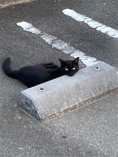 f:id:alto-leo:20200825105546j:plain