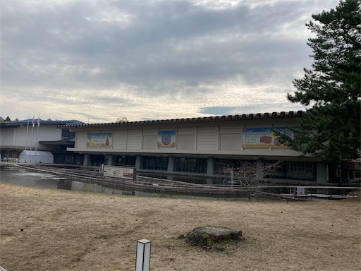 f:id:alto-leo:20201114143551j:plain