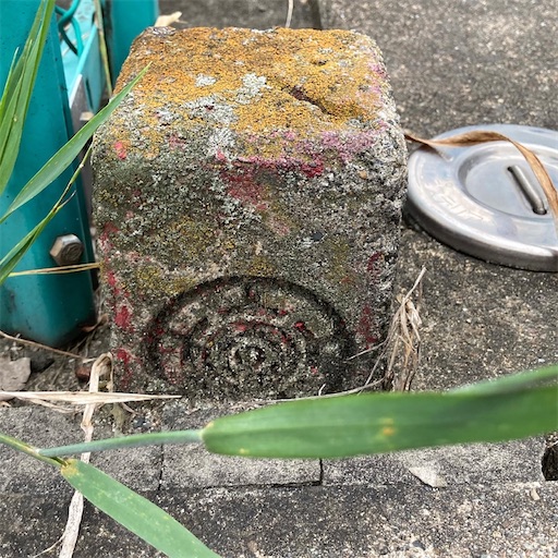 f:id:alto-leo:20210713064917j:plain