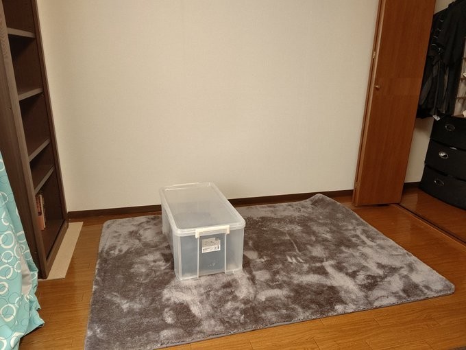 f:id:altocicada:20201213214033j:plain