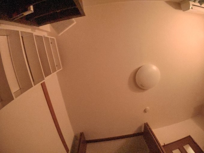 f:id:altocicada:20201213214213j:plain