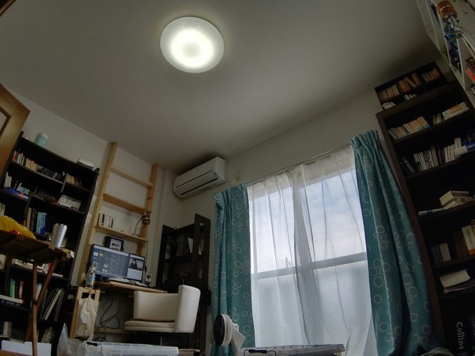 f:id:altocicada:20201213214441j:plain