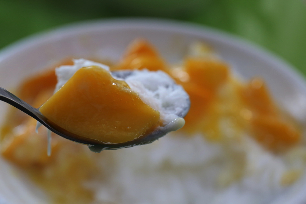 f:id:altokoubou:20190811101638j:plain f:id:altokoubou:20190811101638j:plain