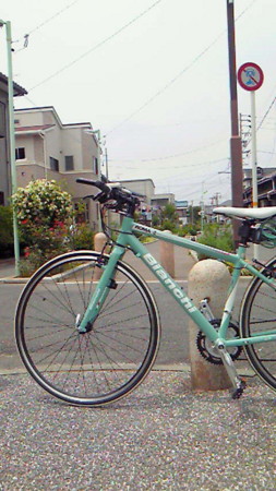 f:id:altosobajima:20100606125100j:image f:id:altosobajima:20100606125100j:image