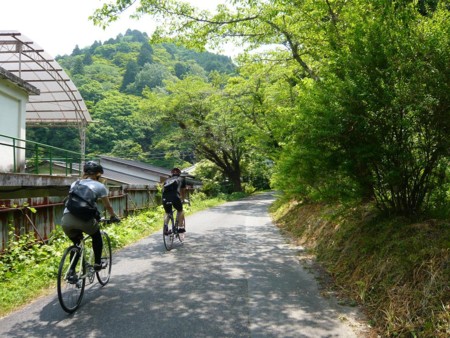 f:id:altosobajima:20100612110354j:image f:id:altosobajima:20100612110354j:image