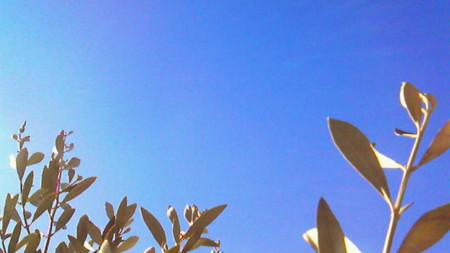 f:id:altosobajima:20100925091800j:image f:id:altosobajima:20100925091800j:image