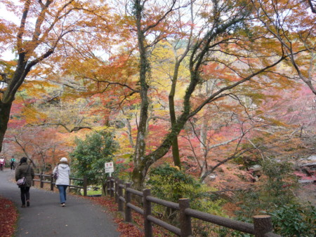 f:id:altosobajima:20101202104126j:image