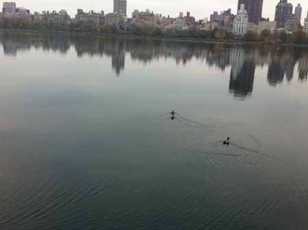 f:id:altosobajima:20121110151645j:image