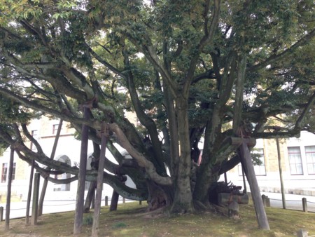 f:id:altosobajima:20140915094808j:image